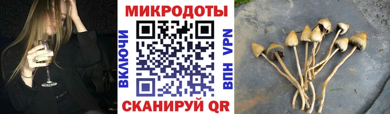 Псилоцибиновые грибы Cubensis  Новочеркасск 