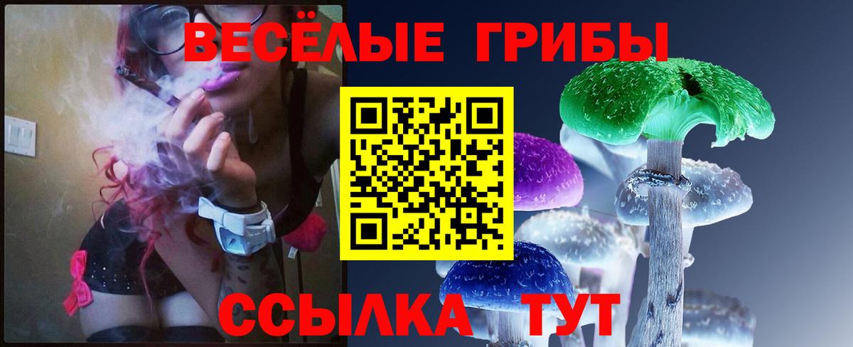 Галлюциногенные грибы мухоморы Новочеркасск