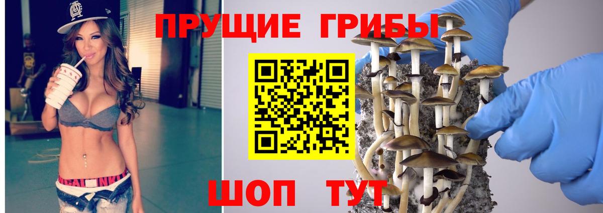 Новочеркасск  Псилоцибиновые грибы Magic Shrooms  даркнет сайт  Вход с VPN 