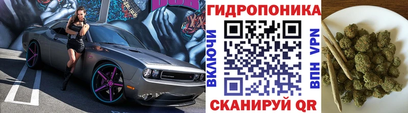 Бошки марихуана THC 21%  Новочеркасск 